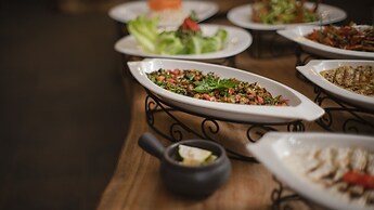 Palmera Camp Wadi Rum