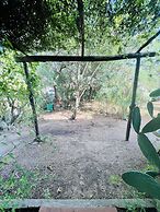 Trilocale in Centro con Giardino