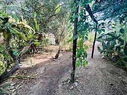 Trilocale in Centro con Giardino