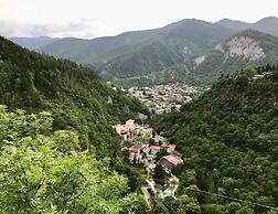 Holiday Borjomi