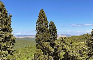 Castello Ginori Di Querceto