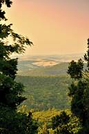 Castello Ginori Di Querceto