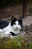 Waldhaus Wolfsbachmühle