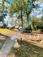 Son's Blue River Camp Glamping Cabin R