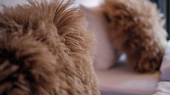 Haus Malva by Zermatt Premium Apartments