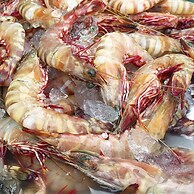 Beachfront 3br Luxe Plunge Pool On Naithon Beach