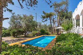 2929 Villa Garden Rose by Barbarhouse