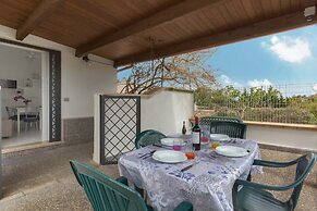 2339 Trilo Imma by Barbarhouse