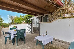 2339 Trilo Imma by Barbarhouse