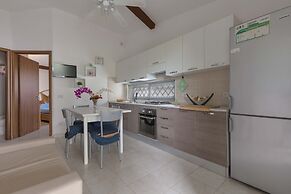 2339 Trilo Imma by Barbarhouse