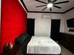 Luxury Living Modern & Contemporary Home With Brand New Pool in Manor 