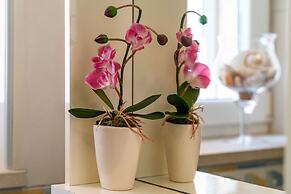 Apartments & Room Frane