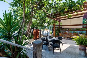 Apartments & Room Frane