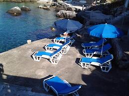 Apartments Villa Molunat 1