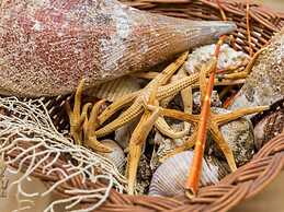 Apartments Villa Molunat 1