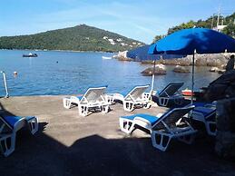 Apartments Villa Molunat 1