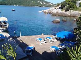 Apartments Villa Molunat 1
