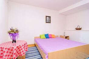 Apartments Villa Molunat 1