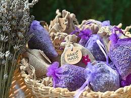 Lavanda Land - Villatanya Mrežnica