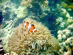 Mookboonchu Guesthouse