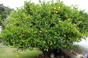 Beachside Sunnyvale Motel