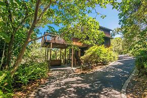 The Oasis Apartments and Treetop Houses