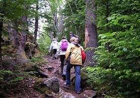 Merry Pebbles Resort & Caravan Park