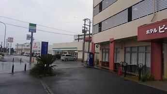 Hotel Peace Island Ishigaki in Yashima