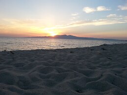 Dolphin Kastraki Studios