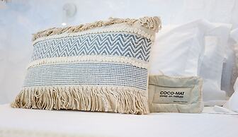 Dolphin Kastraki Studios