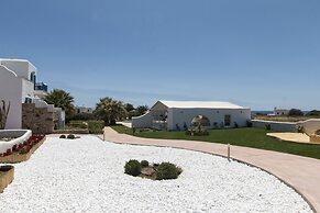 Dolphin Kastraki Studios