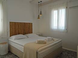 Dolphin Kastraki Studios