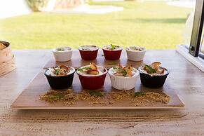 Dolphin Kastraki Studios