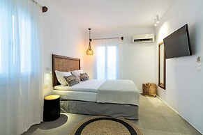 Dolphin Kastraki Studios