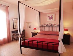 Dolphin Kastraki Studios