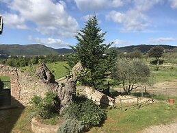 Fattoria Il Santo