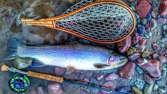 Glacier Guides Lodge