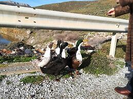 Mouras Resort - Luxury Maisonette Villas