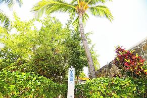 Caribe Internacional Cancun