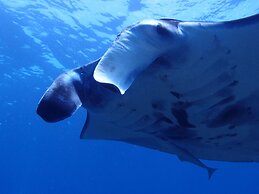 Hotel Bell Harmony Ishigakiisland