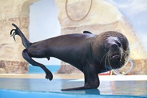 Hotel Splash Inn Nuevo Vallarta