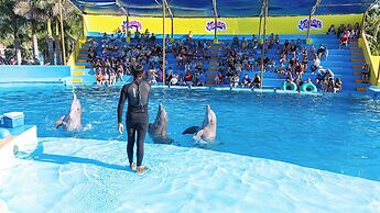 Hotel Splash Inn Nuevo Vallarta