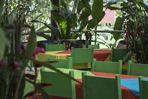 Caribbean Paradise Eco-Lodge