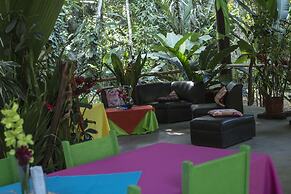 Caribbean Paradise Eco-Lodge