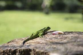 Caribbean Paradise Eco-Lodge