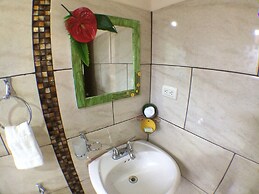 Caribbean Paradise Eco-Lodge