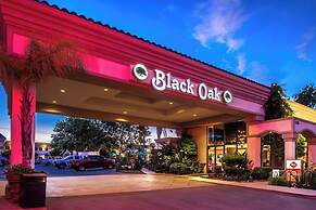 Best Western Plus Black Oak