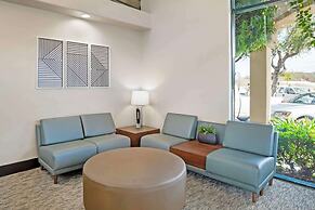 Best Western Plus Black Oak