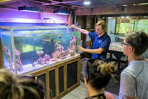 Barefoot Manta Island Resort and Marine Sanctuary