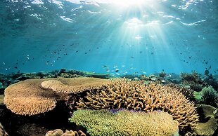 Barefoot Manta Island Resort and Marine Sanctuary